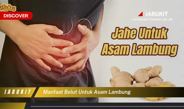 manfaat belut untuk asam lambung