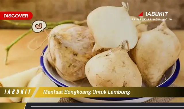 manfaat bengkoang untuk lambung