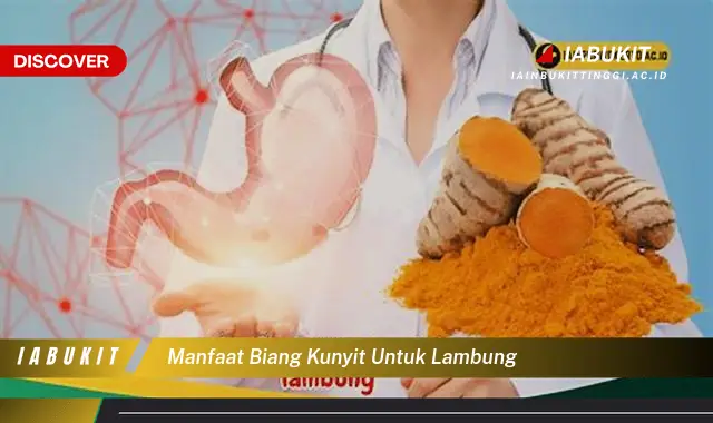 manfaat biang kunyit untuk lambung