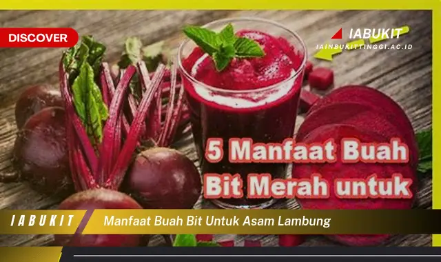 manfaat buah bit untuk asam lambung