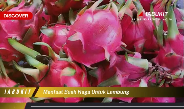 manfaat buah naga untuk lambung