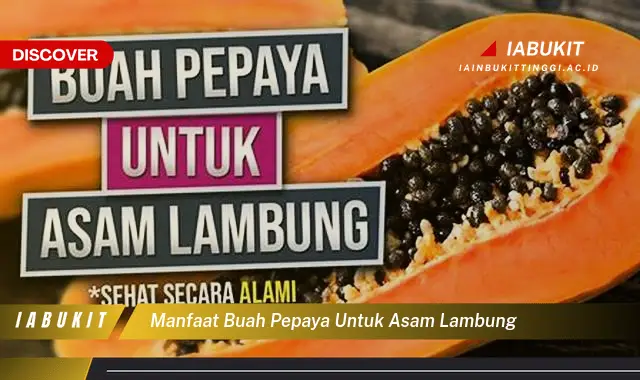 manfaat buah pepaya untuk asam lambung