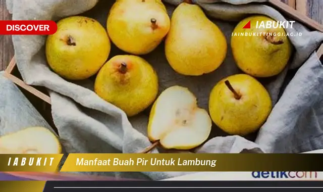 manfaat buah pir untuk lambung