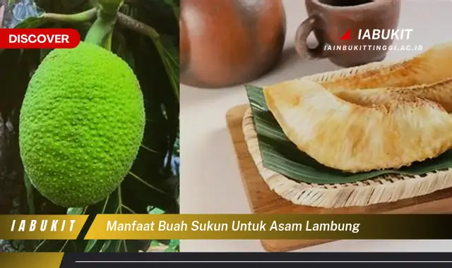 Intip 7 Manfaat Buah Sukun Untuk Asam Lambung Yang Jarang Diketahui