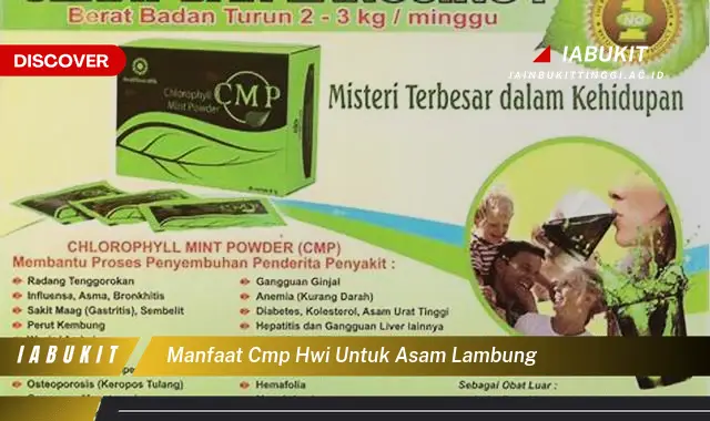 manfaat cmp hwi untuk asam lambung