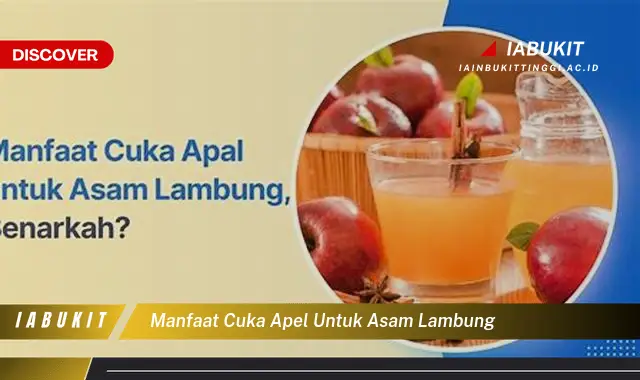 manfaat cuka apel untuk asam lambung