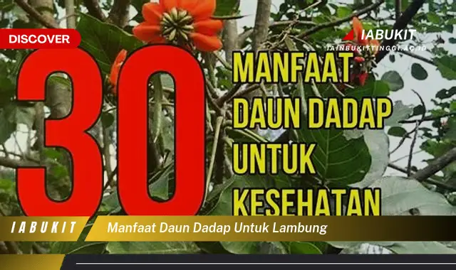 Temukan 7 Manfaat Daun Dadap untuk Lambung yang Wajib Kamu Intip - Discover