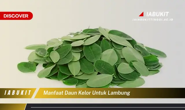 manfaat daun kelor untuk lambung