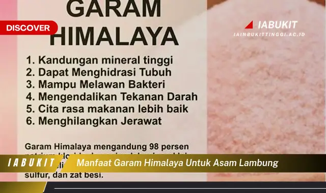 manfaat garam himalaya untuk asam lambung manfaat garam himalaya untuk asam lambung