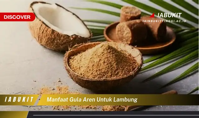 manfaat gula aren untuk lambung manfaat gula aren untuk lambung