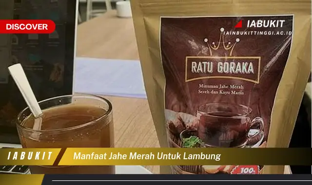 manfaat jahe merah untuk lambung