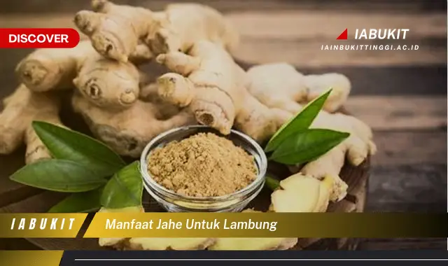 manfaat jahe untuk lambung