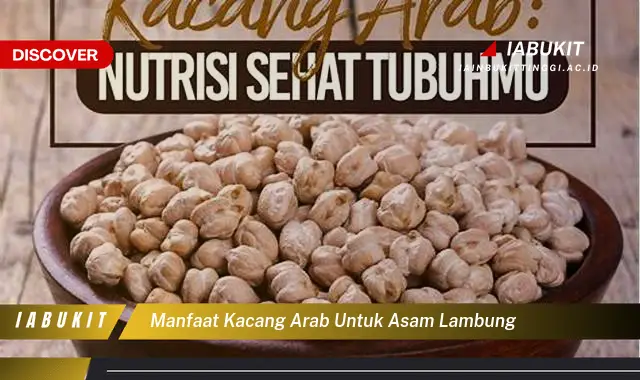 manfaat kacang arab untuk asam lambung