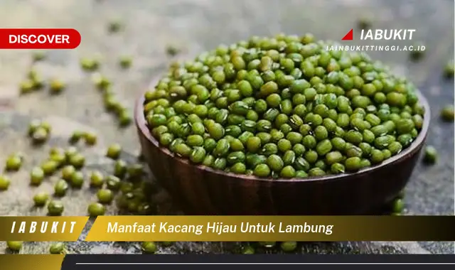 manfaat kacang hijau untuk lambung