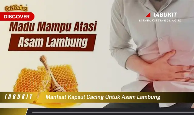 manfaat kapsul cacing untuk asam lambung