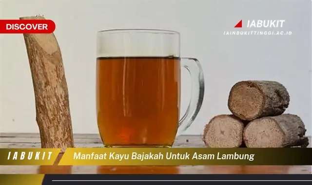 manfaat kayu bajakah untuk asam lambung