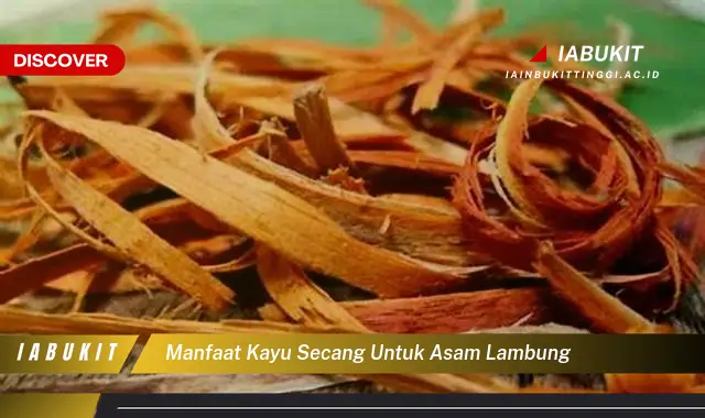 manfaat kayu secang untuk asam lambung