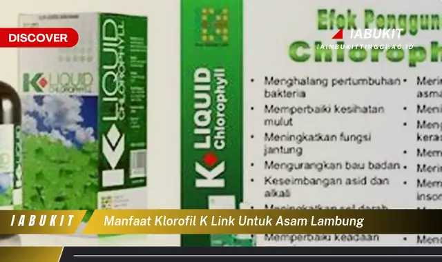 manfaat klorofil k link untuk asam lambung