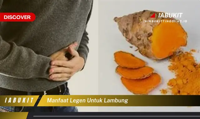 manfaat legen untuk lambung