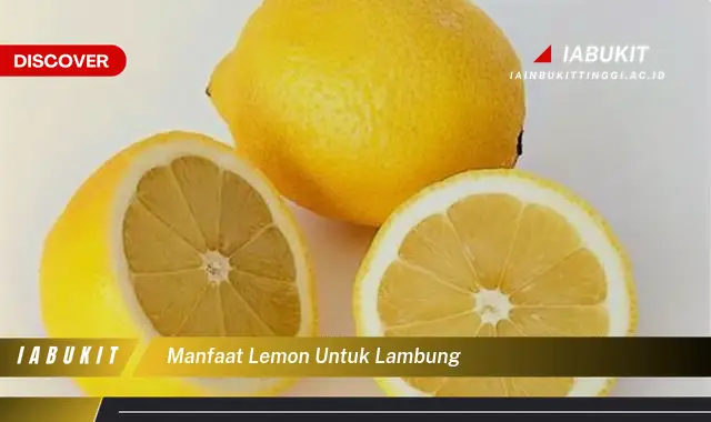 manfaat lemon untuk lambung