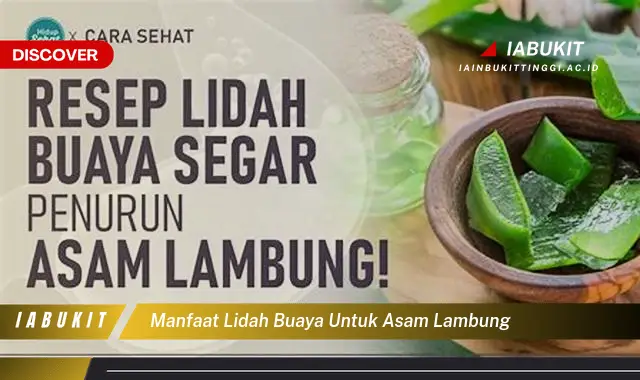 manfaat lidah buaya untuk asam lambung