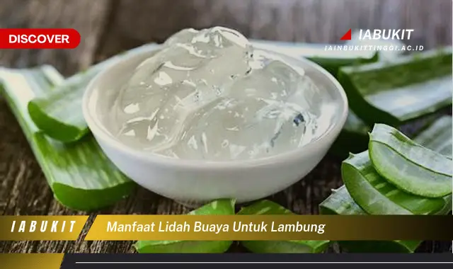 manfaat lidah buaya untuk lambung