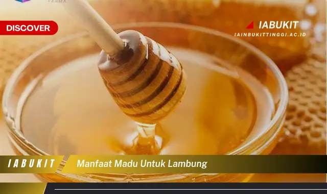 manfaat madu untuk lambung