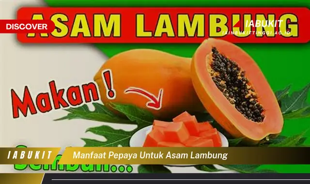 Intip 7 Manfaat Pepaya Untuk Lambung Yang Jarang Diketahui Discover 