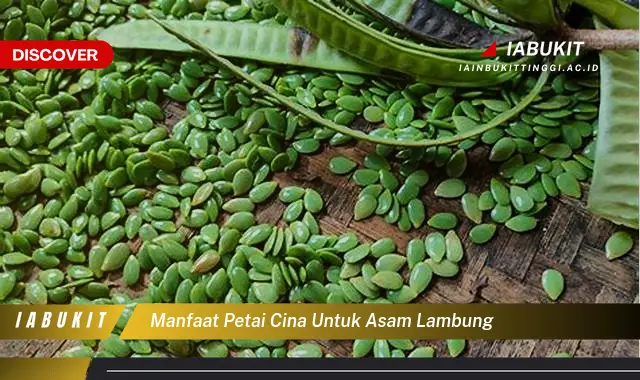 manfaat petai cina untuk asam lambung