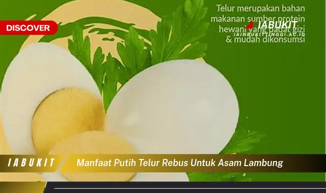 manfaat putih telur rebus untuk asam lambung