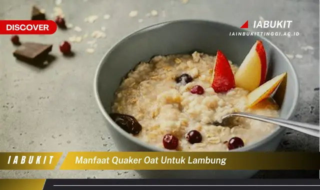 manfaat quaker oat untuk lambung