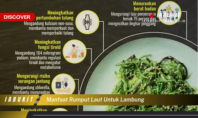 manfaat rumput laut untuk lambung