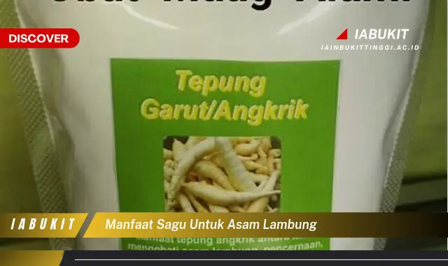 manfaat sagu untuk asam lambung