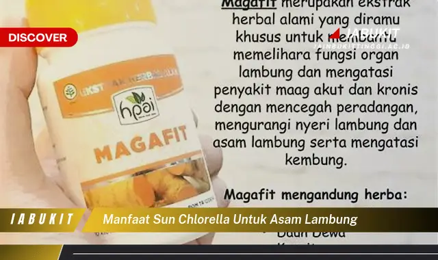 manfaat sun chlorella untuk asam lambung