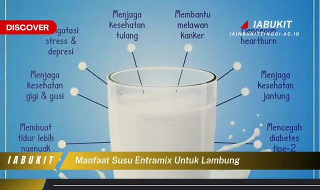 manfaat susu entramix untuk lambung