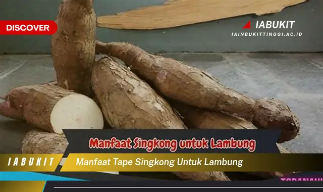 manfaat tape singkong untuk lambung