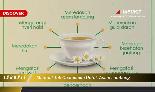 manfaat teh chamomile untuk asam lambung