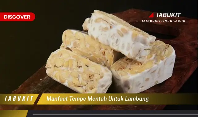 manfaat tempe mentah untuk lambung