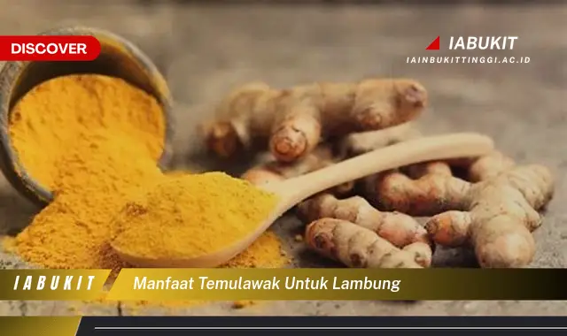 manfaat temulawak untuk lambung