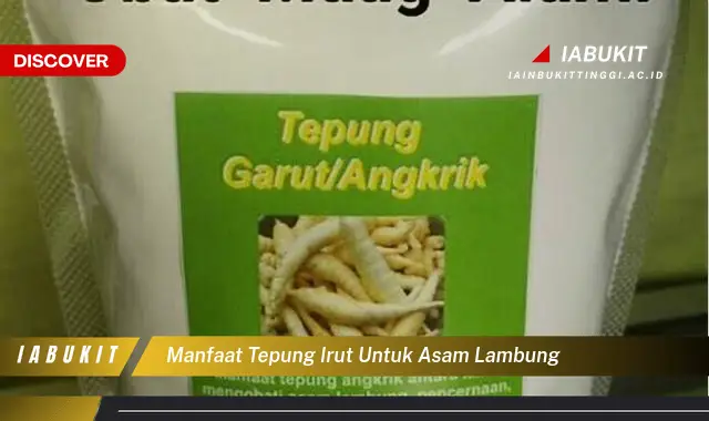 manfaat tepung irut untuk asam lambung