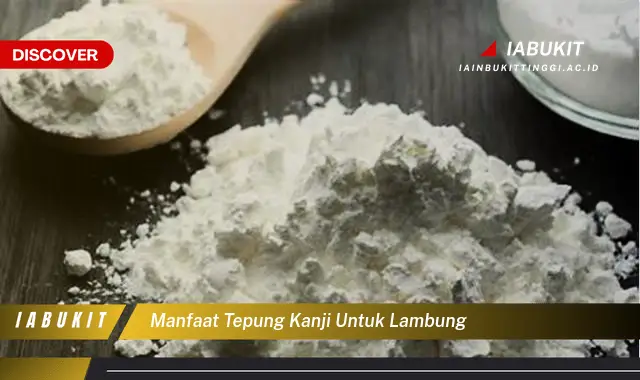 manfaat tepung kanji untuk lambung