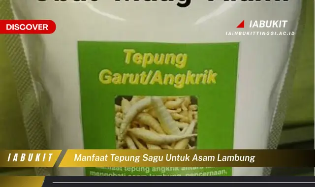 manfaat tepung sagu untuk asam lambung