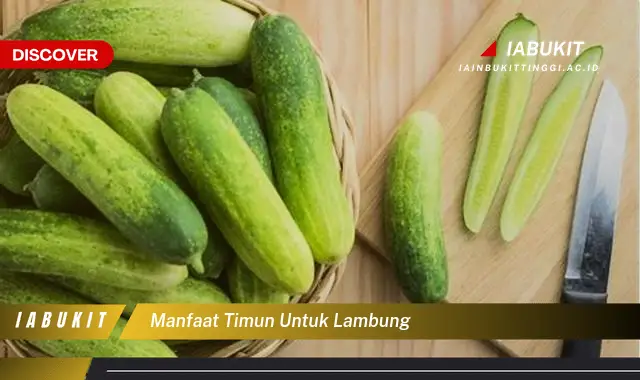 manfaat timun untuk lambung