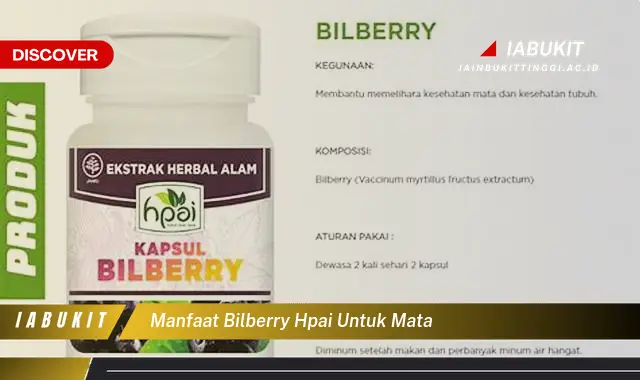 manfaat bilberry hpai untuk mata