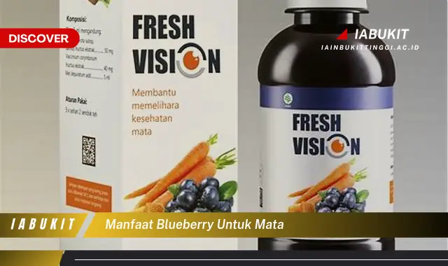 manfaat blueberry untuk mata