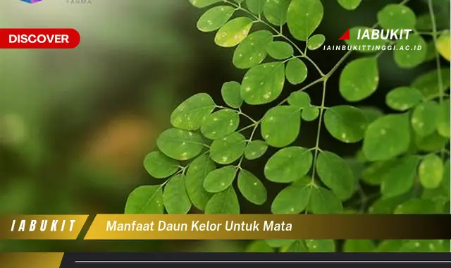 manfaat daun kelor untuk mata