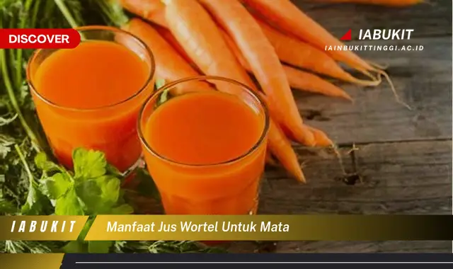 manfaat jus wortel untuk mata