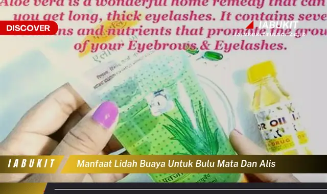 manfaat lidah buaya untuk bulu mata dan alis