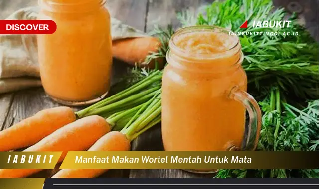 manfaat makan wortel mentah untuk mata