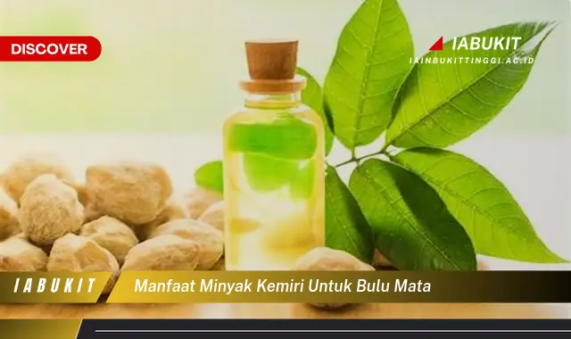 manfaat minyak kemiri untuk bulu mata